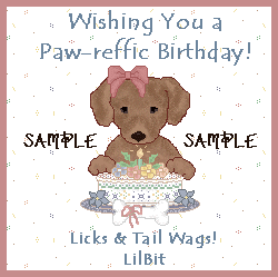 LilBit's bday card